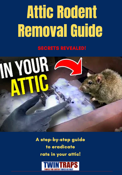 The MAJOR Attic Rodent Removal Bundle