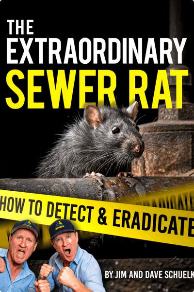 The Extraordinary Sewer Rat Ebook